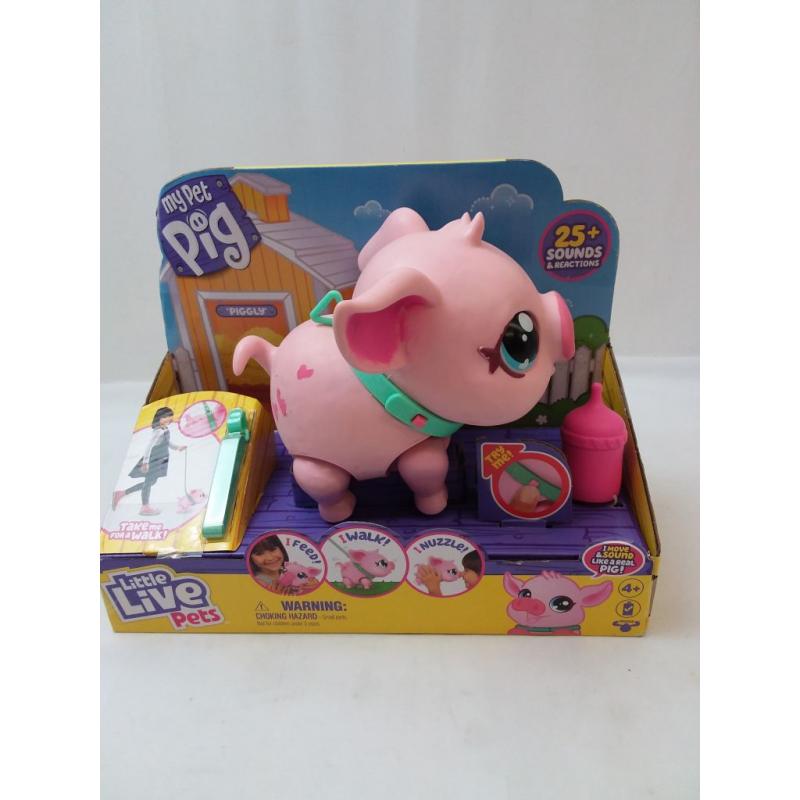 My Pet Pig
