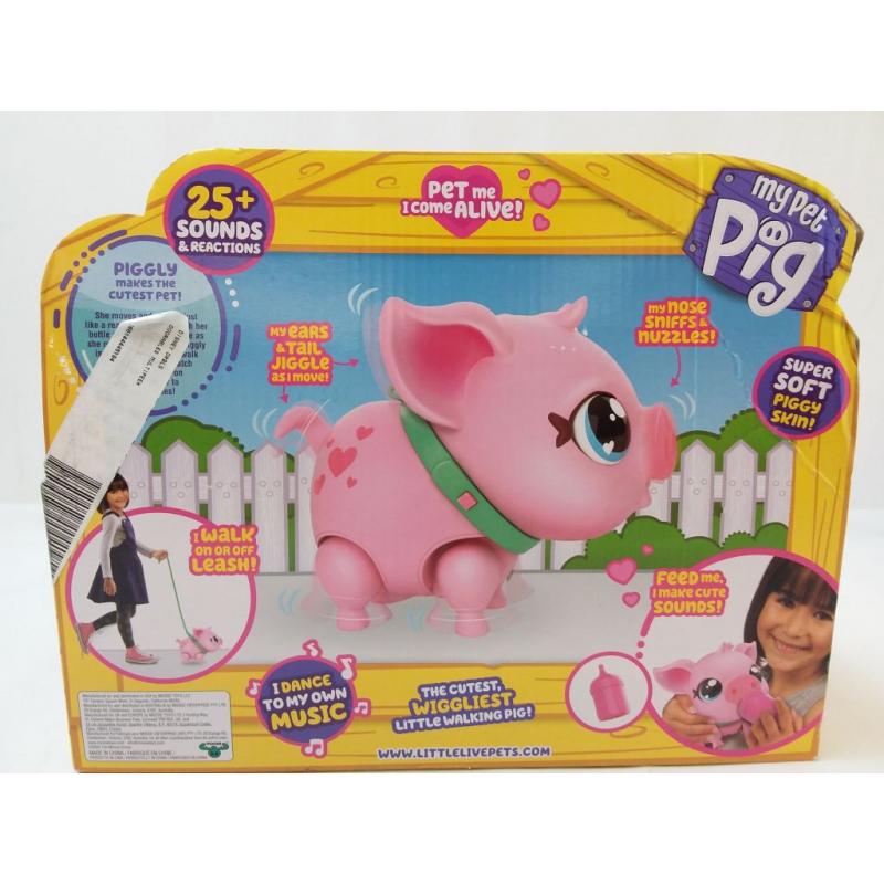 My Pet Pig