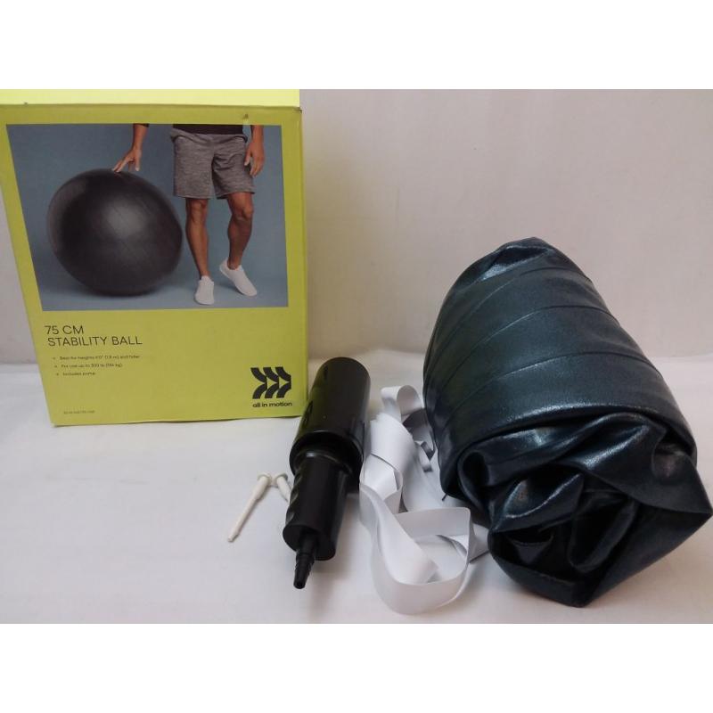 Stability Ball - All in Motion