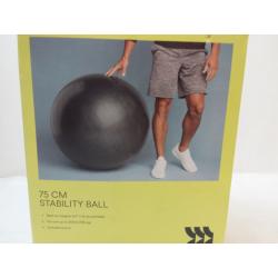 Stability Ball - All in Motion