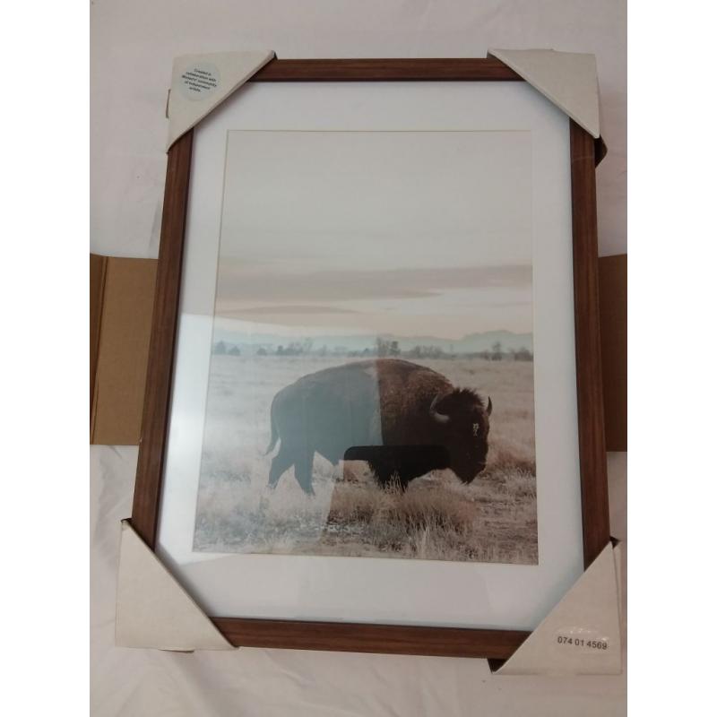 Threshold Wall Art Framed Buffalo Prints 12x16 in