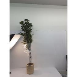 Artificial Large Ficus Longifolia Tree in Pot Green 72 x 30- Threshold™