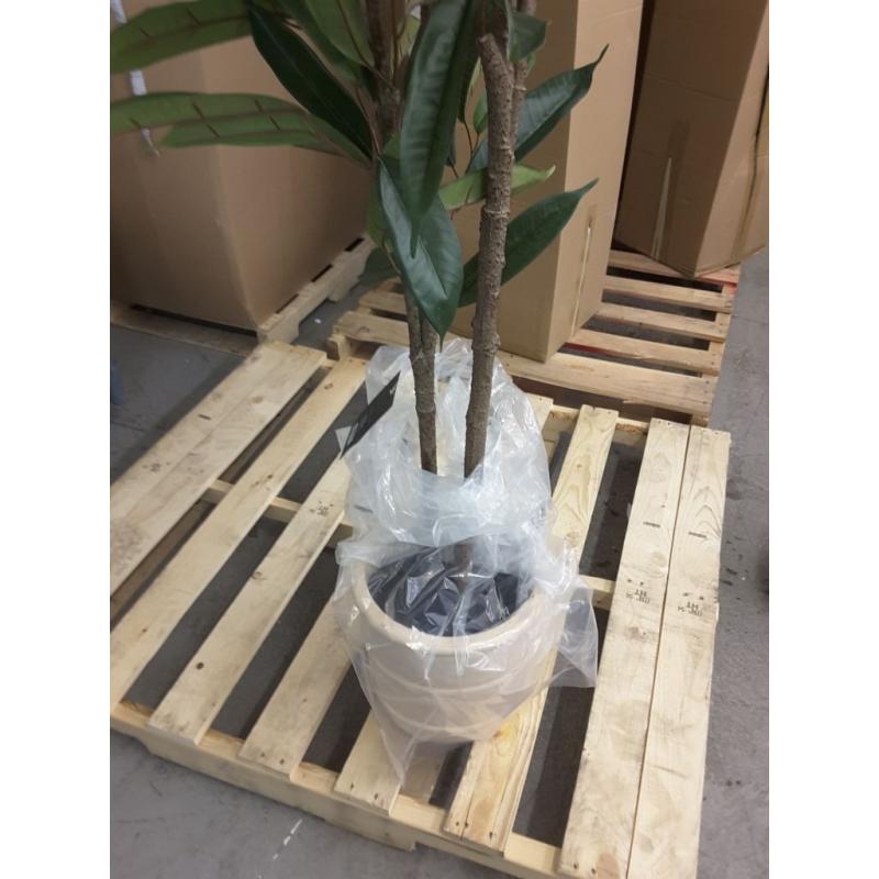 Artificial Large Ficus Longifolia Tree In Pot Green 72 x 30- Threshold