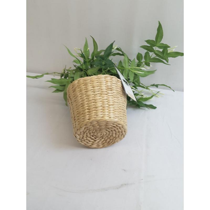 Jasmine in Basket - Threshold designed with Studio McGee