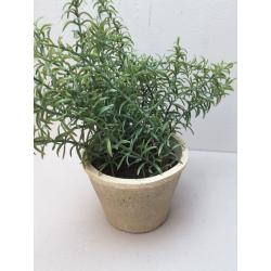 Potted Rosemary - Threshold™ Designed With Studio Mcgee -