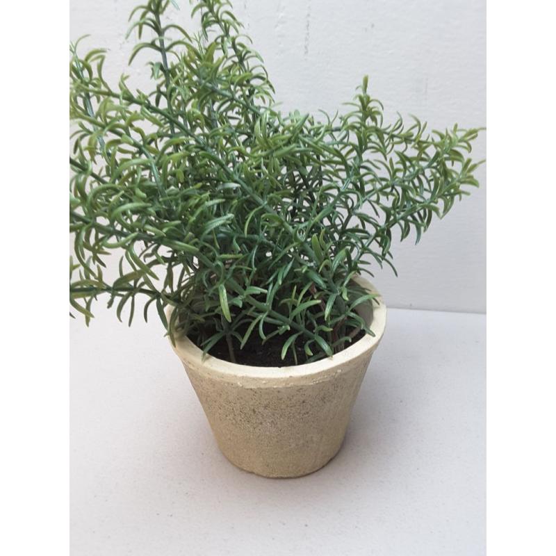 Potted Rosemary - Threshold™ Designed With Studio Mcgee -
