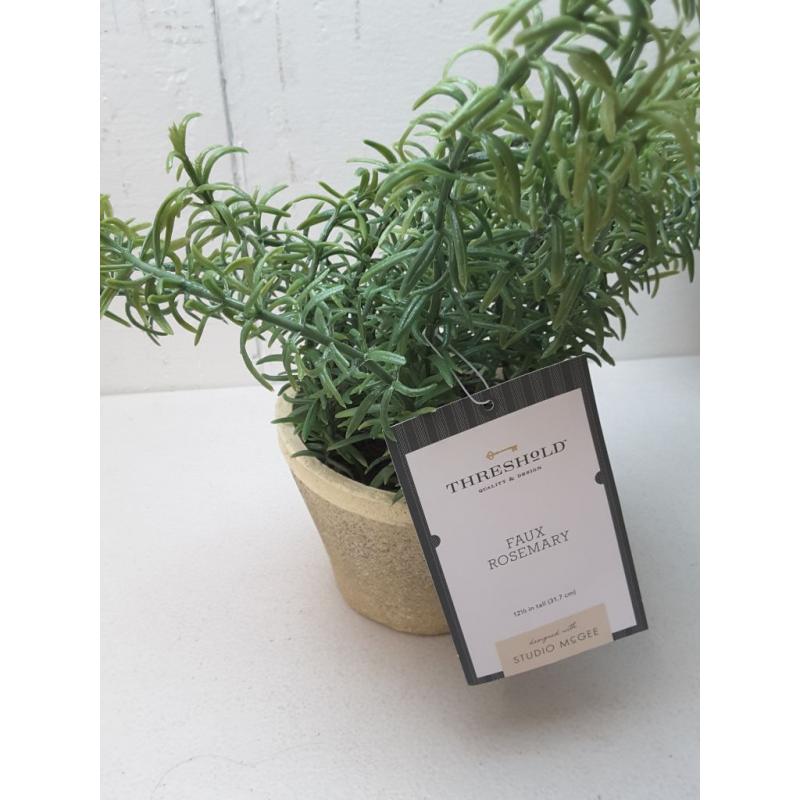 Potted Rosemary - Threshold™ Designed With Studio Mcgee -