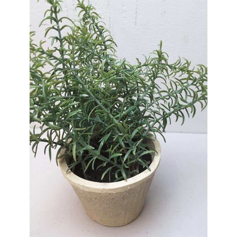 Potted Rosemary - Threshold™ Designed With Studio Mcgee -