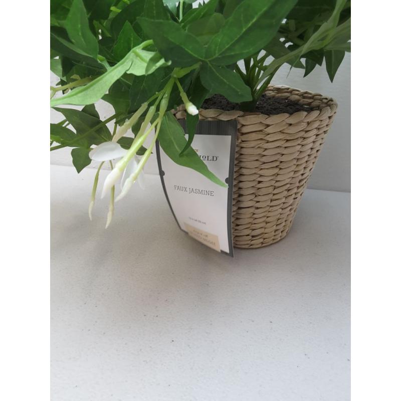 Jasmine In Basket - Threshold™ Designed With Studio Mcgee