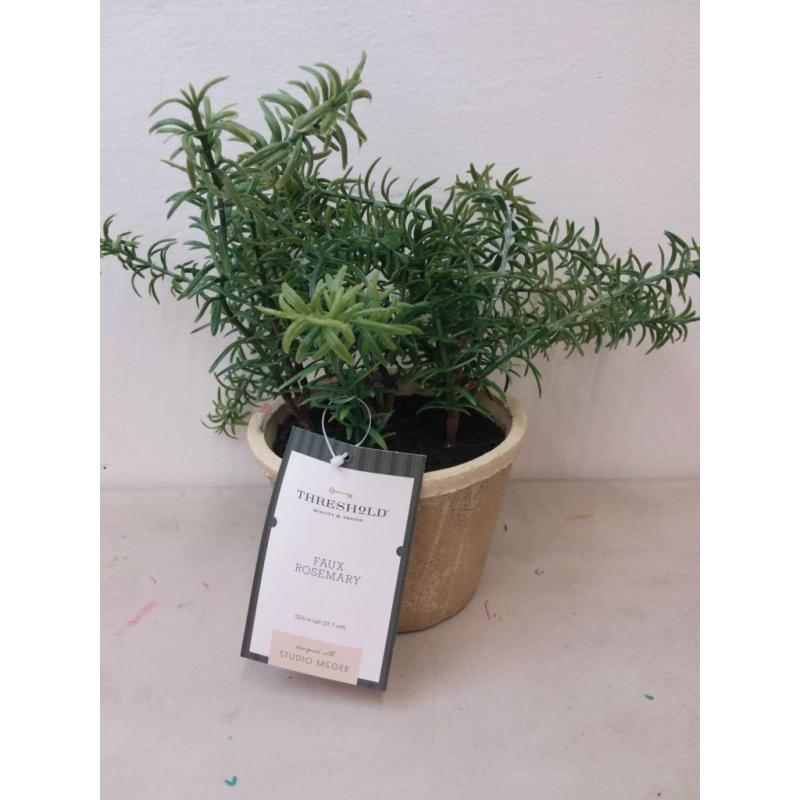 Potted Rosemary - Threshold™ designed with Studio McGee