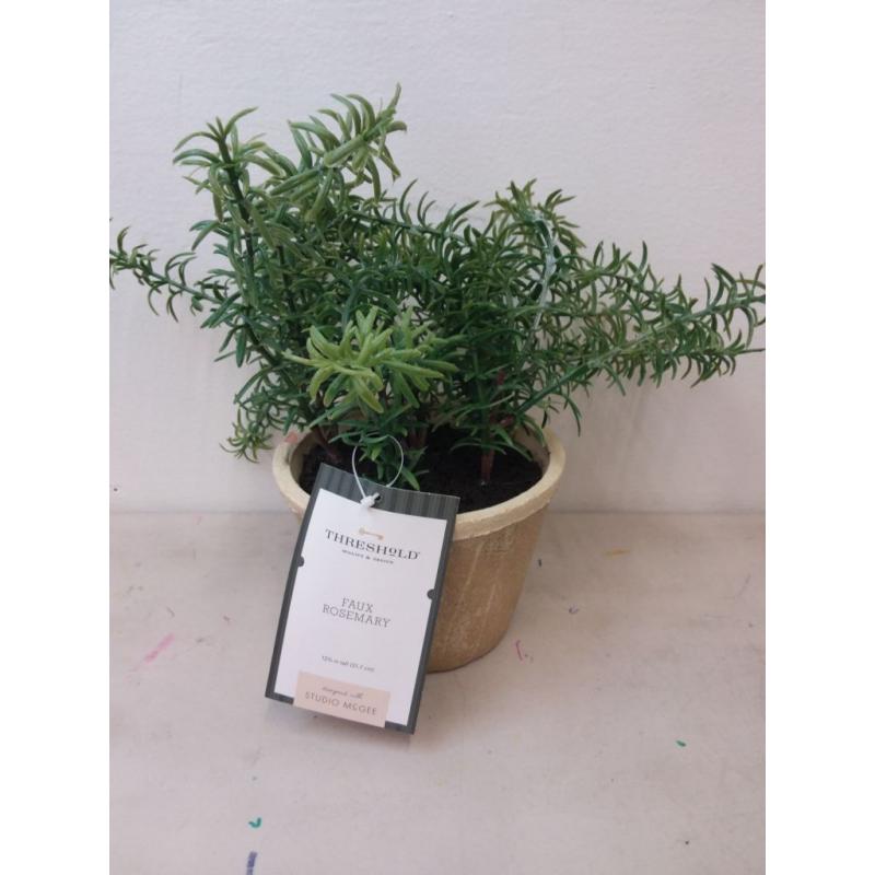 Potted Rosemary - Threshold™ designed with Studio McGee