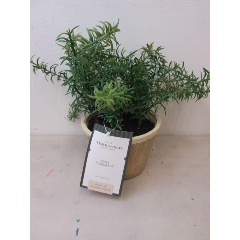 Potted Rosemary - Threshold™ designed with Studio McGee