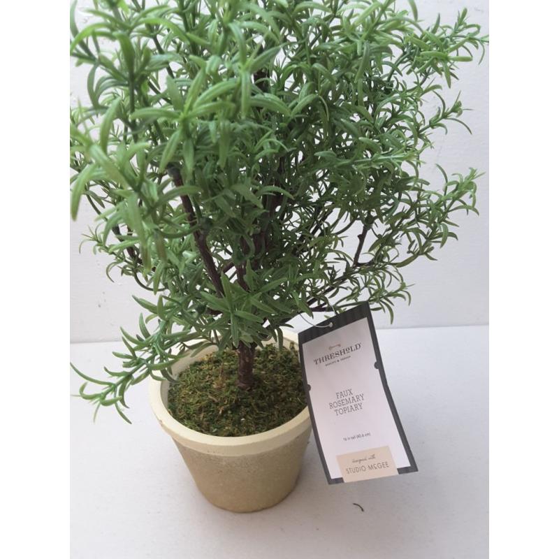 Rosemary Topiary - Threshold designed with Studio McGee