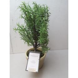 Rosemary Topiary - Threshold™ designed with Studio McGee