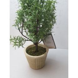 Rosemary Topiary - Threshold™ Designed With Studio Mcgee
