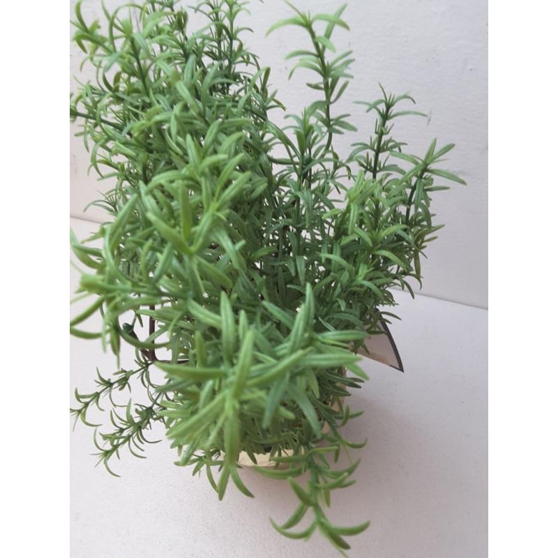 Rosemary Topiary - Threshold™ Designed With Studio Mcgee
