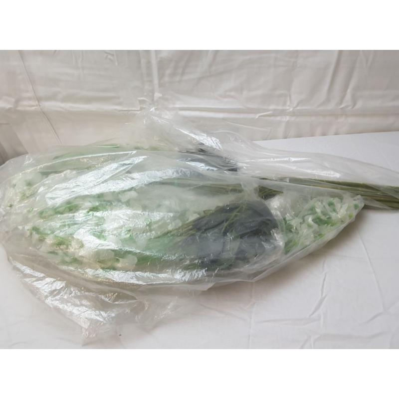 12PCS Wisteria Rose Oration
