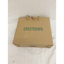 Crestedibis Plush Shaggy Duvet, King/ Light Gray