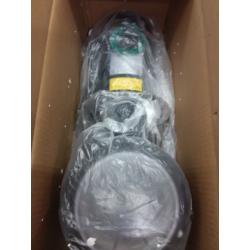 Topway 110v Swimming Pool Pump