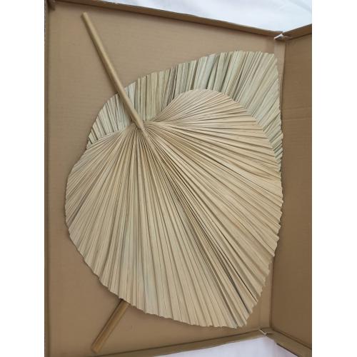 2 Large Palm Leaves Dried Home Decor (L23.6xW15)