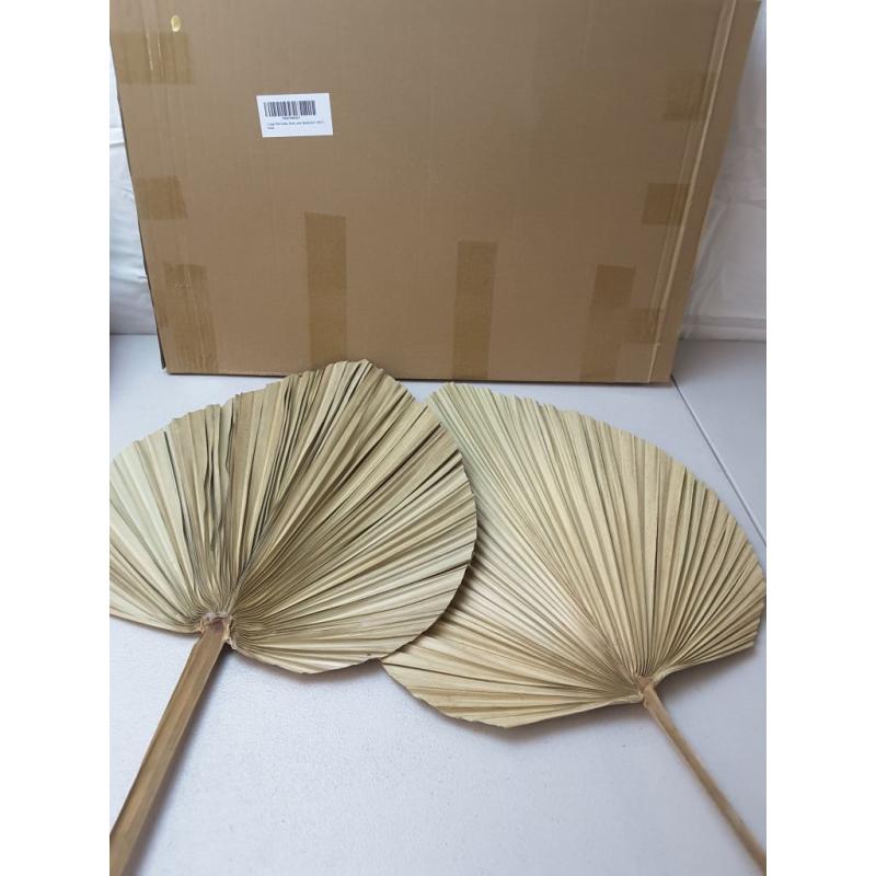 2 Large Palm Leaves Dried Home Decor (L23.6xW15)