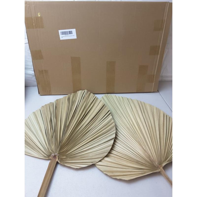 2 Large Palm Leaves Dried Home Decor (L23.6xW15)