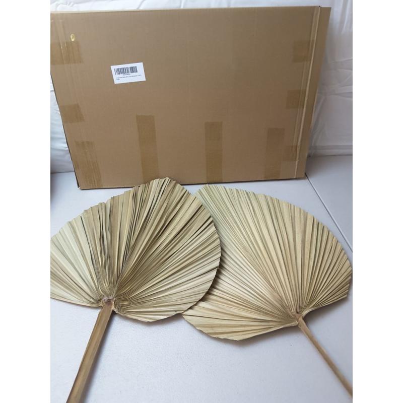 2 Large Palm Leaves Dried Home Decor (L23.6xW15)