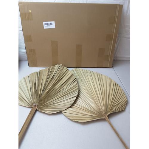 2 Large Palm Leaves Dried Home Decor (L23.6xW15)