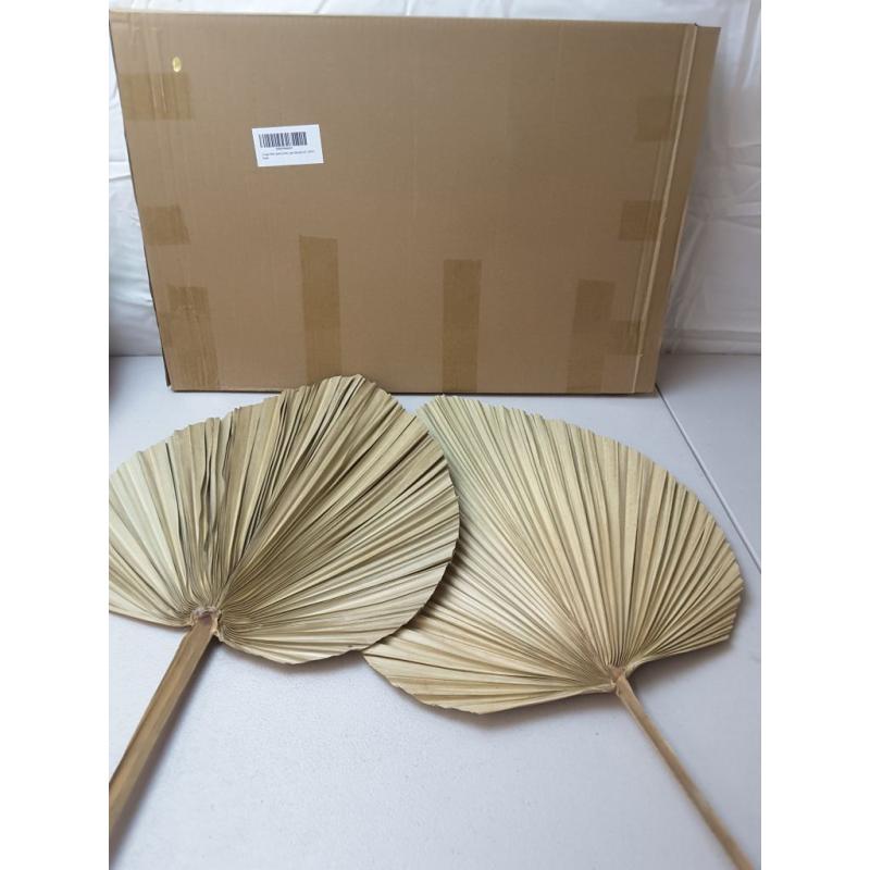 2 Large Palm Leaves Dried Home Decor (L23.6xW15)