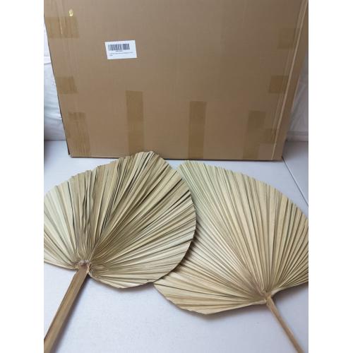 2 Large Palm Leaves Dried Home Decor (L23.6xW15)
