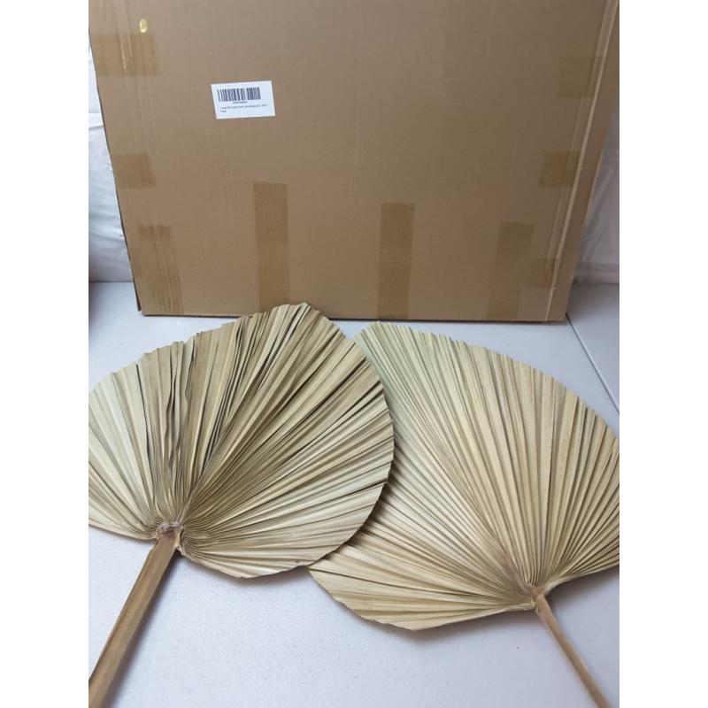 2 Large Palm Leaves Dried Home Decor (L23.6xW15)