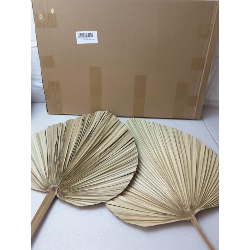 2 Large Palm Leaves Dried Home Decor (L23.6xW15)