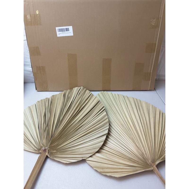 2 Large Palm Leaves Dried Home Decor (L23.6xW15)