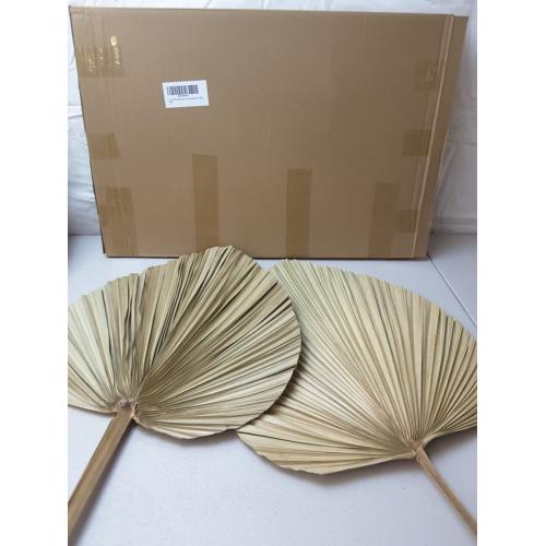 2 Large Palm Leaves Dried Home Decor (L23.6xW15)