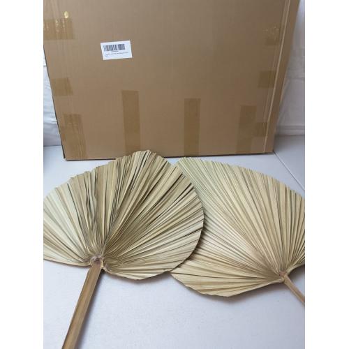 2 Large Palm Leaves Dried Home Decor (L23.6xW15)