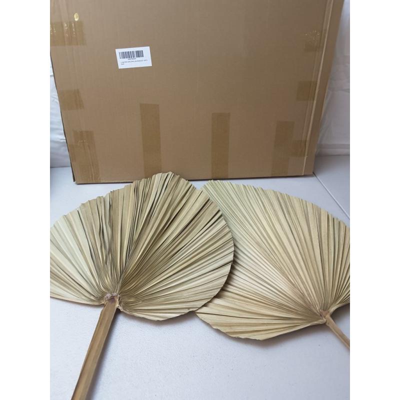 2 Large Palm Leaves Dried Home Decor (L23.6xW15)