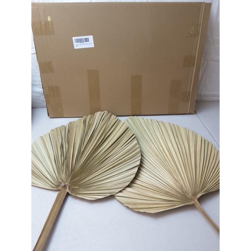 2 Large Palm Leaves Dried Home Decor (L23.6xW15)