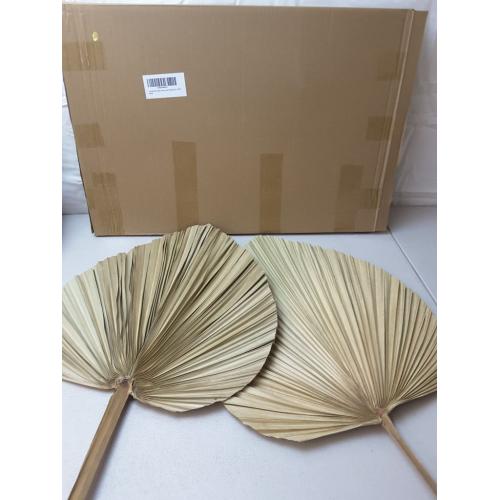 2 Large Palm Leaves Dried Home Decor (L23.6xW15)