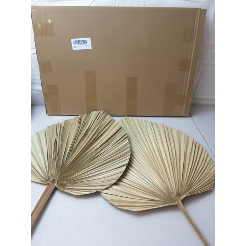 2 Large Palm Leaves Dried Home Decor (L23.6xW15)