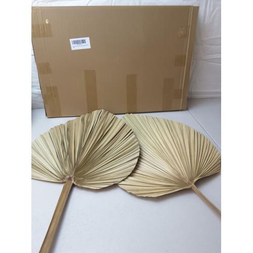 2 Large Palm Leaves Dried Home Decor (L23.6xW15)