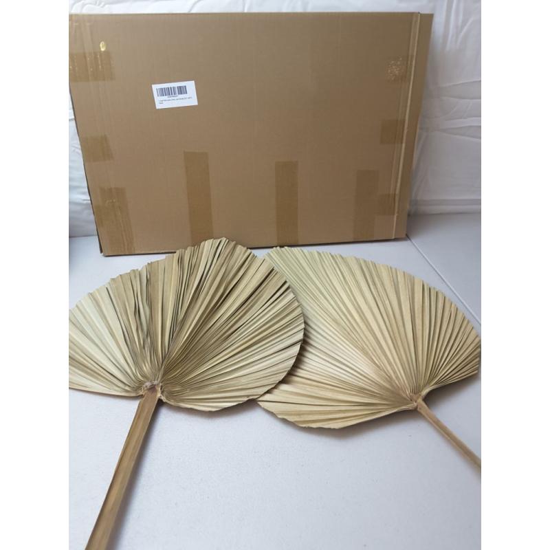 2 Large Palm Leaves Dried Home Decor (L23.6xW15)