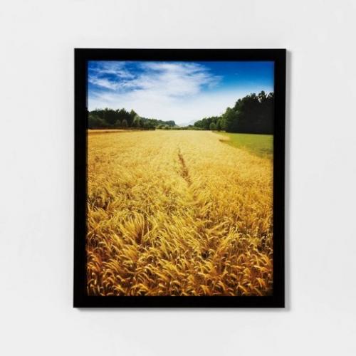 16 x 20 Profile Poster Frame Black