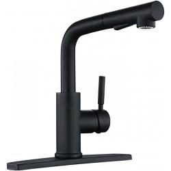 Peppermint Matte Black Kitchen Sink Faucet