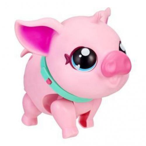 My Pet Pig