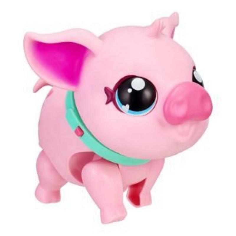 My Pet Pig