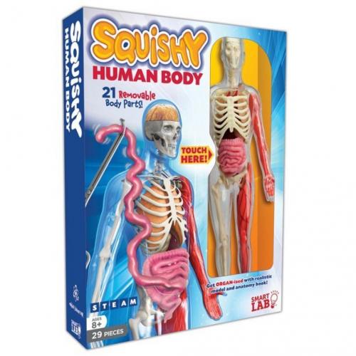 Squishy Human Body -Smart Lab Toys