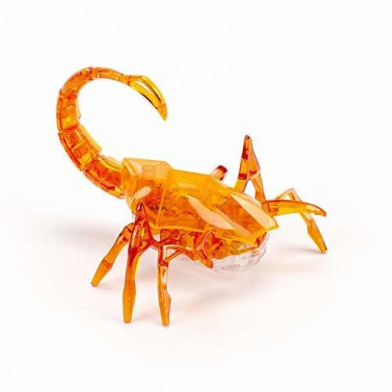 Scorpion- Orange
