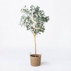 Faux Eucalyptus Tree - Threshold Designed with Studio McGee