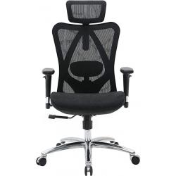 Ergonomic Office Chair- Black