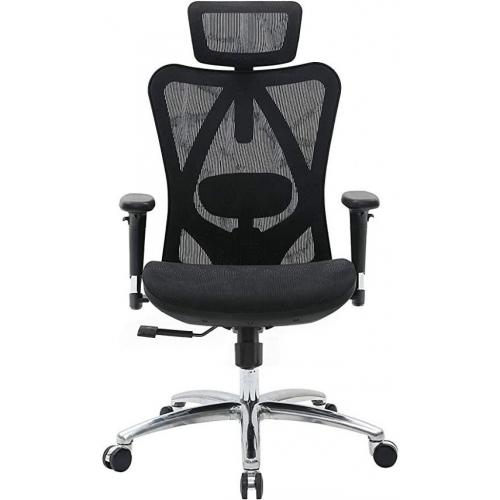 Ergonomic Office Chair- Black